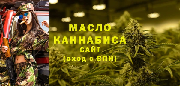 молекула духа Верхний Тагил