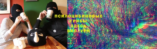 крисы Верея