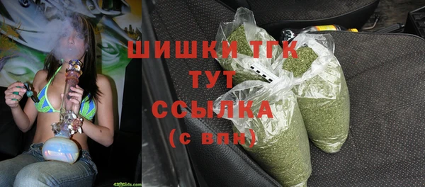 крисы Верея