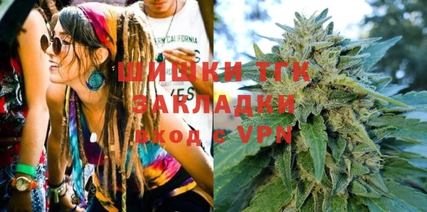молекула духа Верхний Тагил